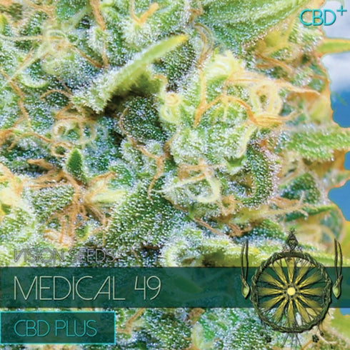 Vision Seeds - Medical 49 CBD+